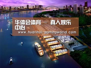 案例展示八