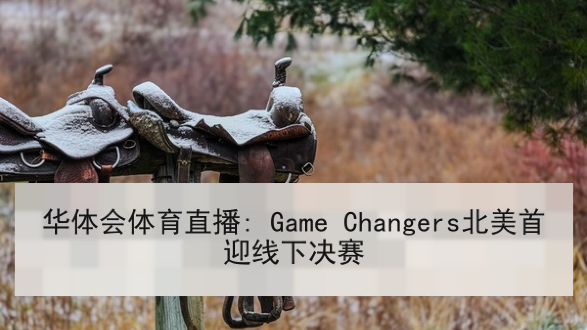 华体会体育直播: Game Changers北美首迎线下决赛