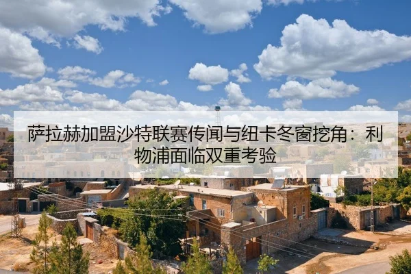 sa-la-he-jia-meng-sha-te-lian-sai-chuan-wen-yu-niu-ka-dong-chuang-wa-jiao-li-wu-pu-mian-lin-shuang-chong-kao-yan-2-887.jpg