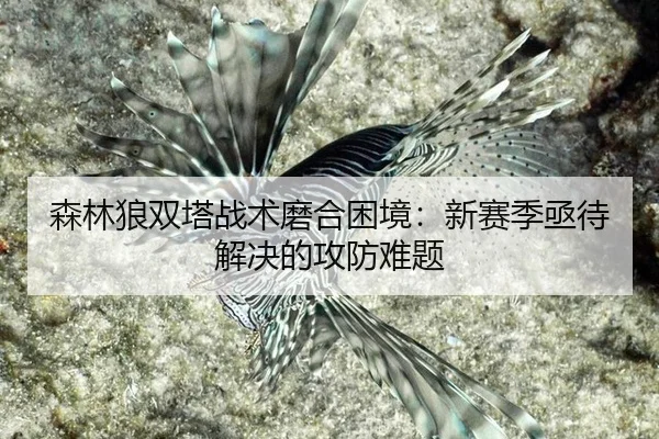 森林狼双塔战术磨合困境：新赛季亟待解决的攻防难题