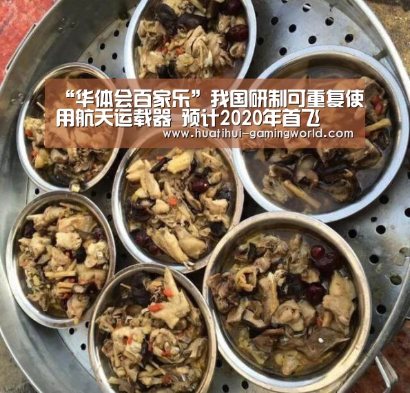 “华体会百家乐”我国研制可重复使用航天运载器 预计2020年首飞