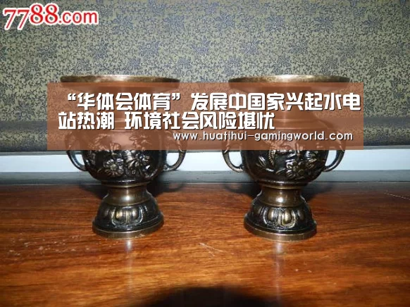 “华体会体育”发展中国家兴起水电站热潮 环境社会风险堪忧(图3) 华体会体育官方网站